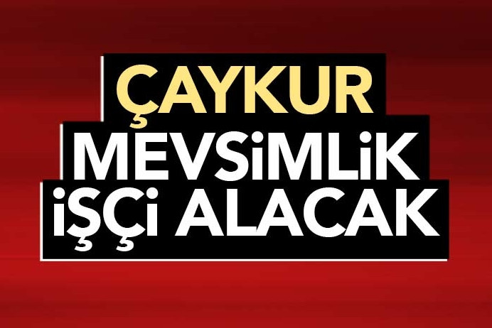 ÇAYKUR, 1365 Mevsimlik İşçi Alacak. Başvurular Başlıyor