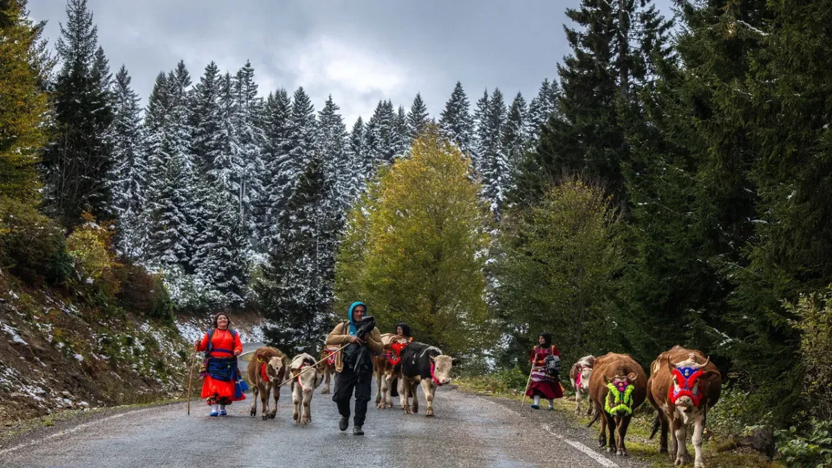 Doğu Karadeniz'de Kar Yağışı, Yaylacıları Geri Dönmeye Zorluyor!