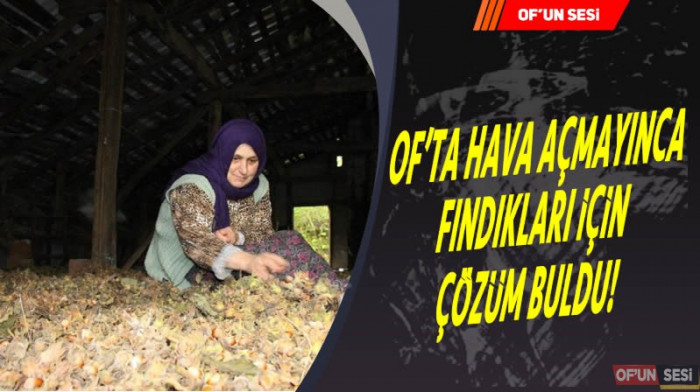 Of’ta hava açmayınca fındıkları için çözüm buldu!